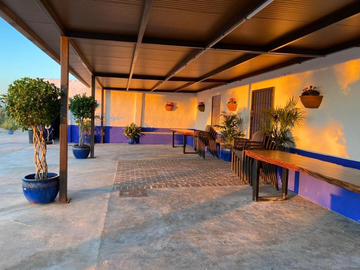 Villa La Casa Del Olivo Écija Exterior foto